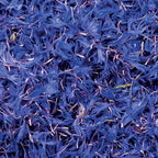 Pétales de Bleuet Séchées 50g