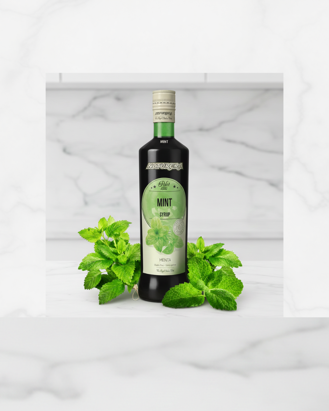 Sirop de menthe 1L naturera 