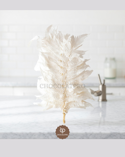 Plume blanche – Grande Plume Blanche Séchée - Marone